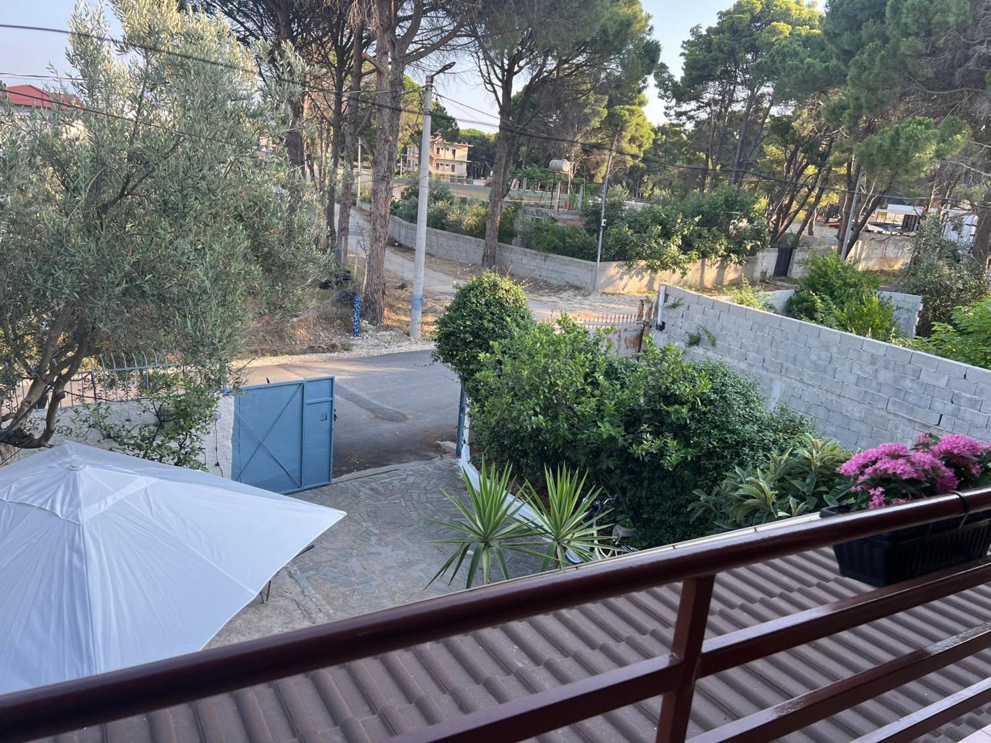 Mone Luxury Wlora